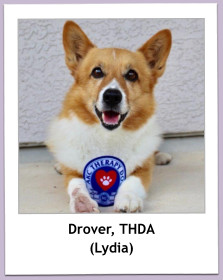 Drover, THDA (Lydia)