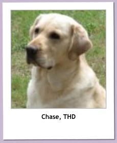 Chase, THD