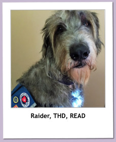 Raider, THD, READ
