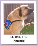 Lt. Dan, THD (Amanda)