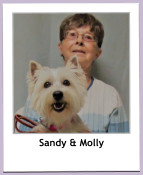 Sandy & Molly