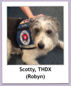 Scotty, THDX (Robyn)