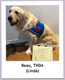 Beau, THDA (Linda)