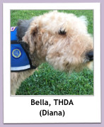 Bella, THDA (Diana)