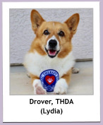 Drover, THDA (Lydia)