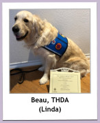 Beau, THDA (Linda)