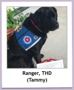 Ranger, THD (Tammy)