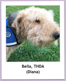 Bella, THDA (Diana)