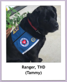 Ranger, THD (Tammy)