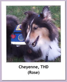 Cheyenne, THD (Rose)